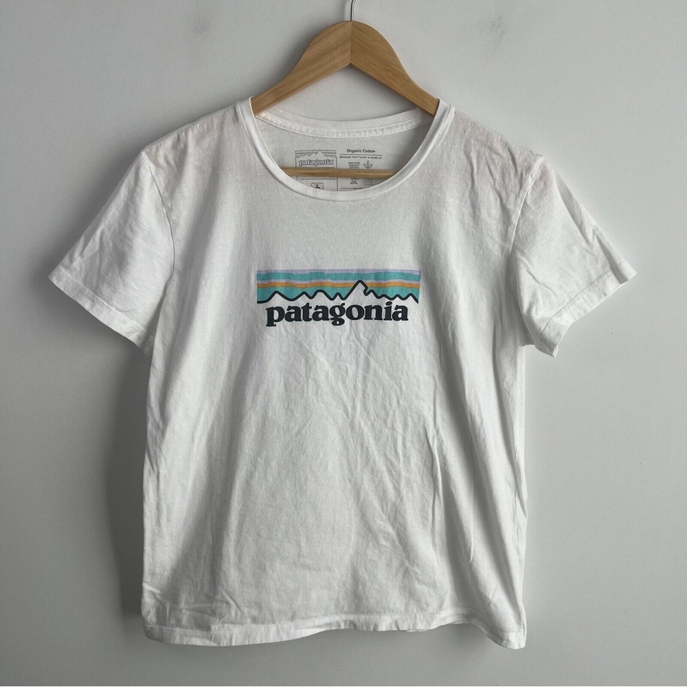 Patagonia pastel logo tee